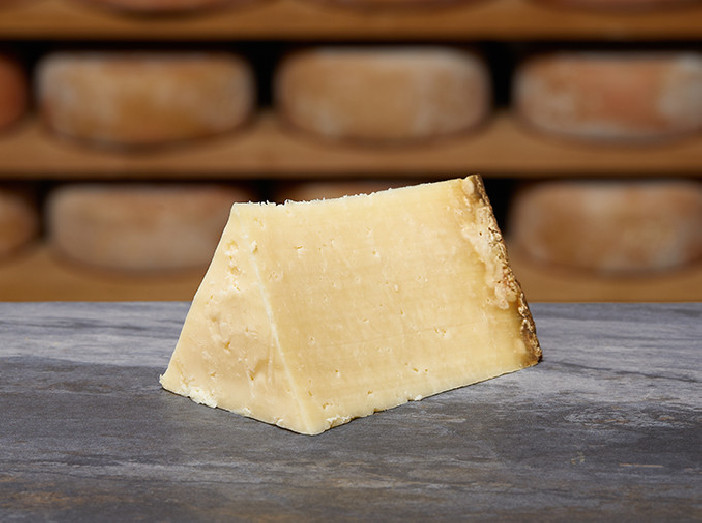 TRADITION SALERS AOP