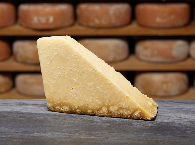 TRADITION SALERS AOP