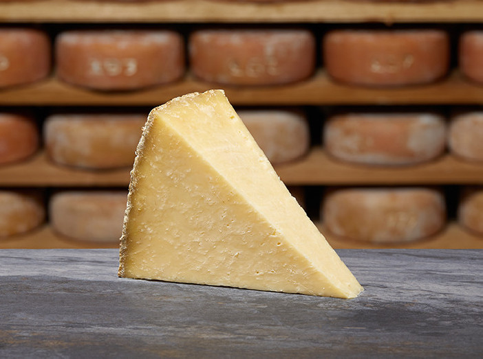 TRADITION SALERS AOP