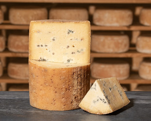 FOURME DE MONTBRISON Sélection Lait Cru AOP