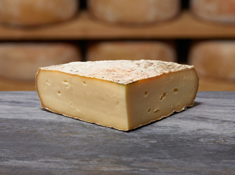 SAINT NECTAIRE FERMIER AOP| Mons Fromager Affineur MOF SAINT NECTAIRE FERMIER AOP| Mons Fromager Affineur MOF