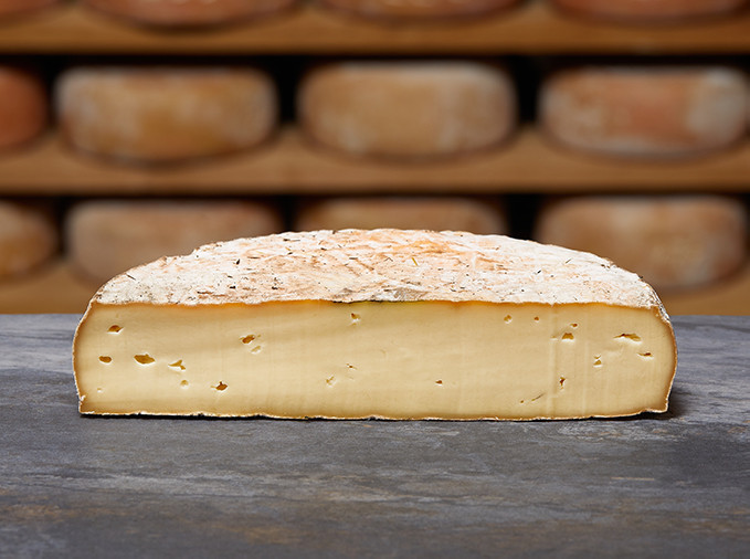 SAINT NECTAIRE Fermier Grand Classique AOP SAINT NECTAIRE Fermier Grand Classique AOP