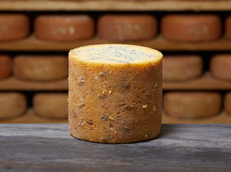 FOURME DE MONTBRISON Lait Cru BIO AOP FOURME DE MONTBRISON Lait Cru BIO AOP
