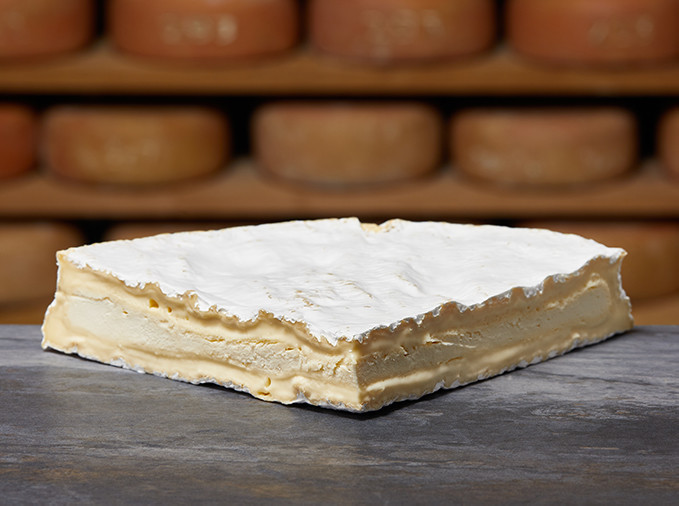 BRIE DE MEAUX DONGE AOP BRIE DE MEAUX DONGE AOP