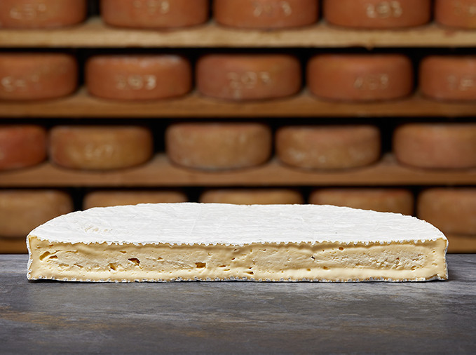 BRIE DE MEAUX DONGE AOP BRIE DE MEAUX DONGE AOP