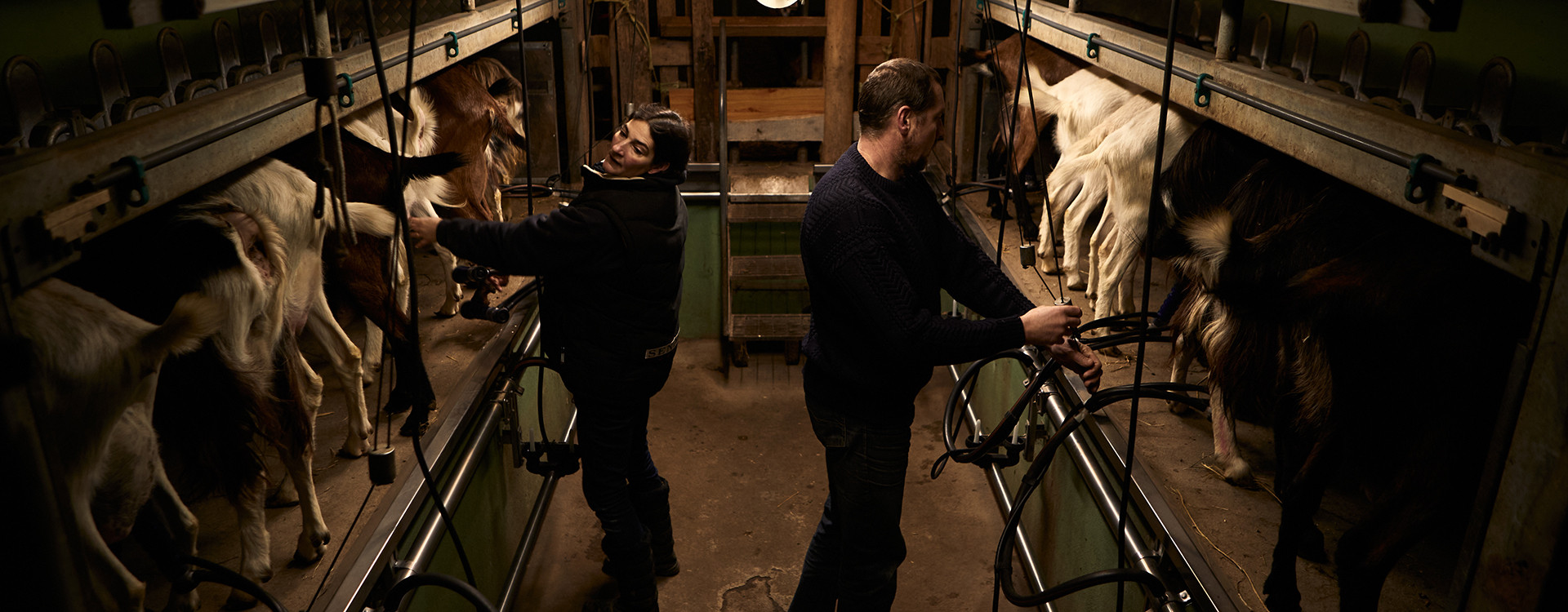 Producteurs