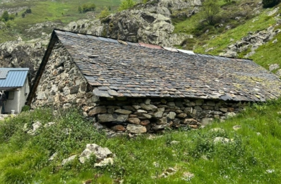 Pyrenean Transhumance