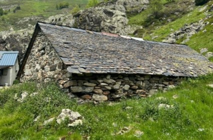 Pyrenean Transhumance